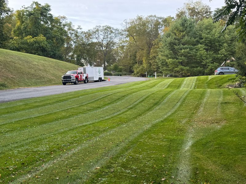 Mowing