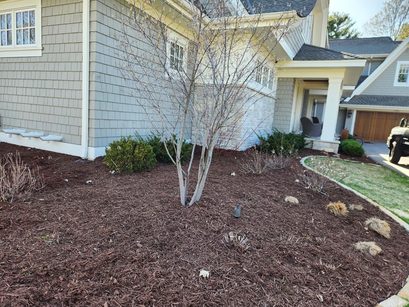 Landscaping 