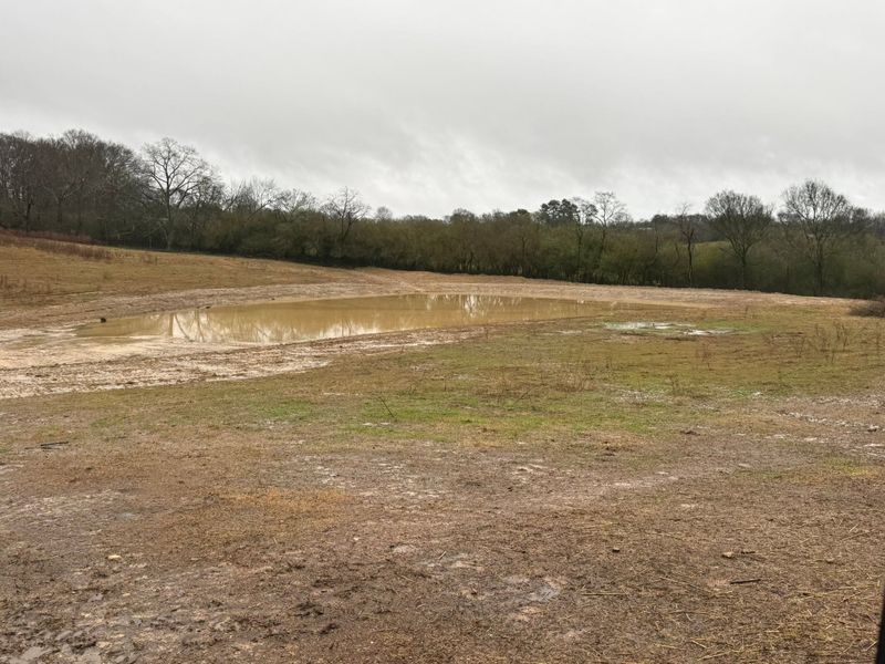 Land Clearing