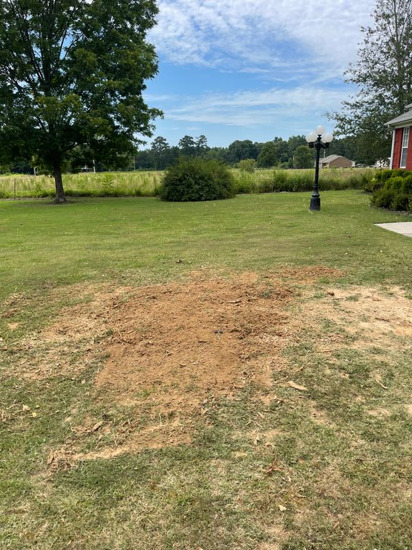 Stump Grinding and Removal