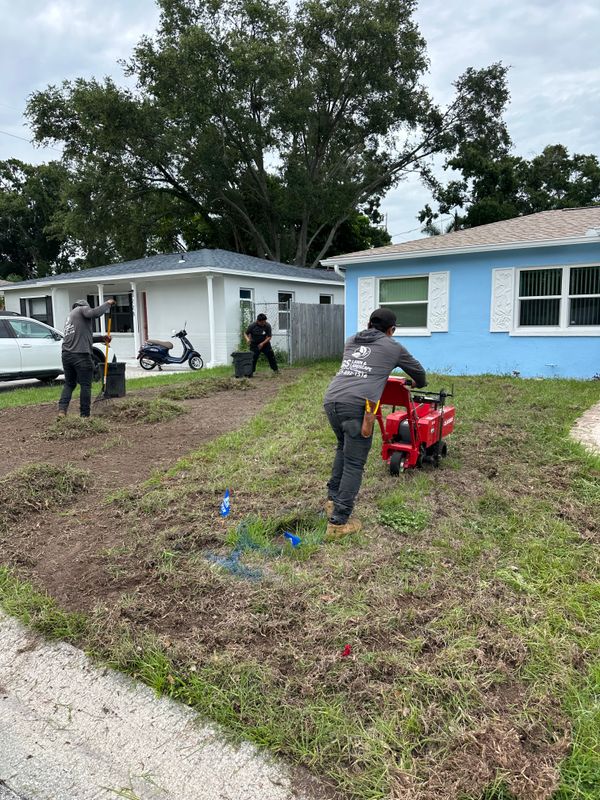 Landscape Maintenance