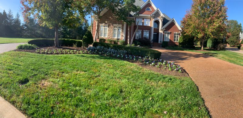 Fall Clean Up