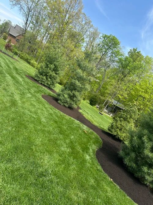 Lawn Installation