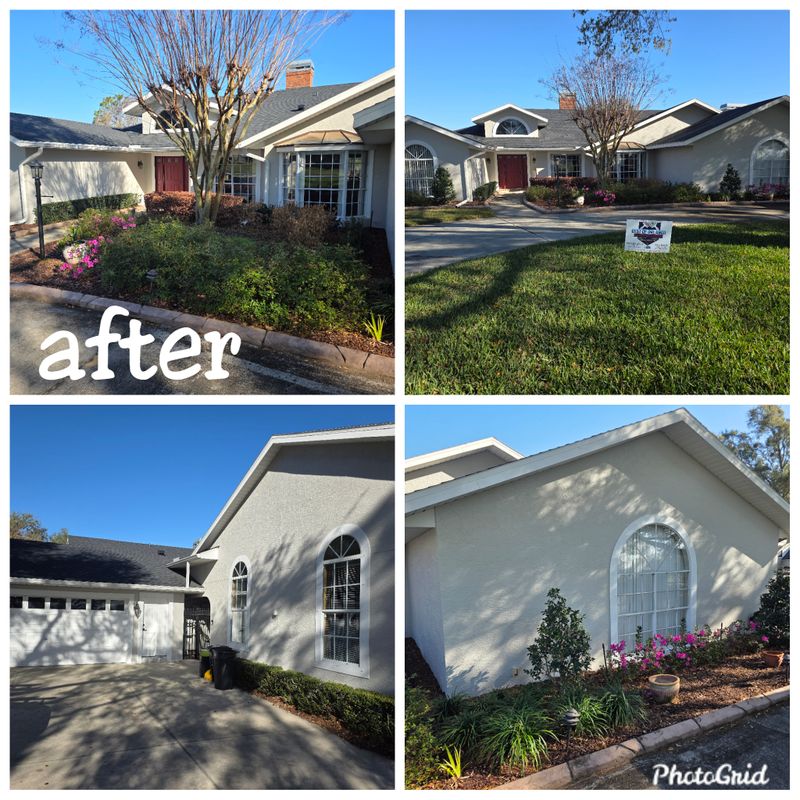 Stucco Repairs
