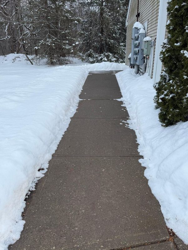 Seasonal Clean Up