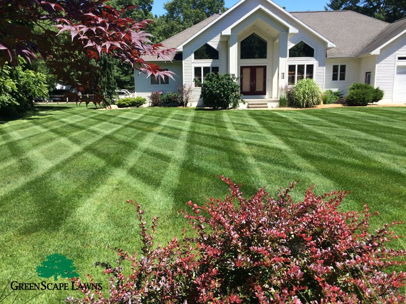 Transforming Whitehall with Pristine Lawn Care: Greenscape Lawns' Showcase of Excellence
