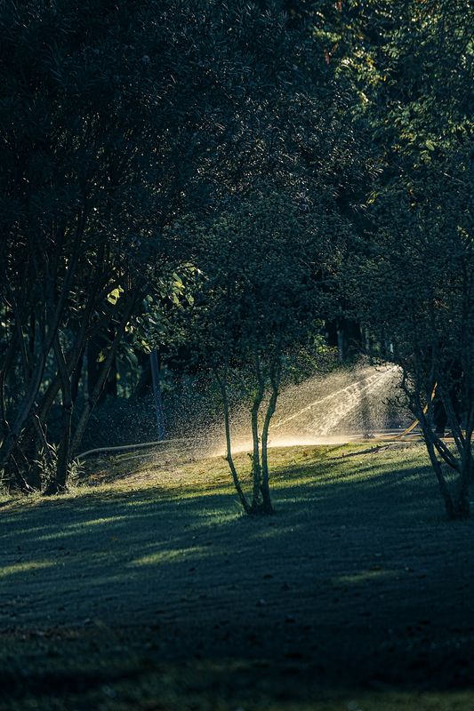 Irrigation Systems