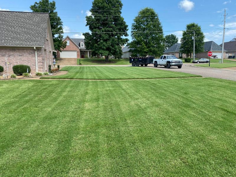 Lawn Maintenance