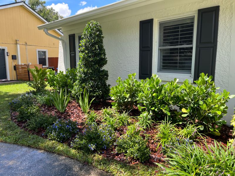 Landscape Design and Installation