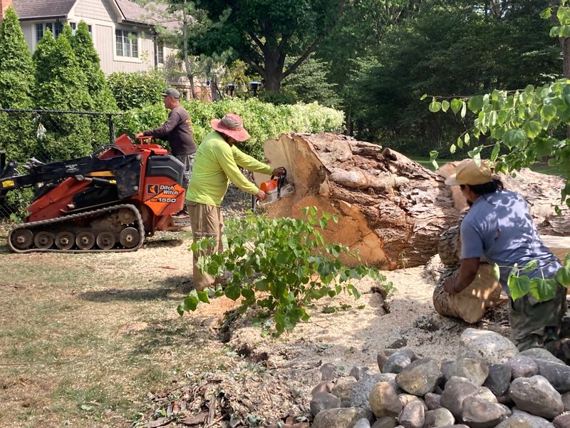 Storm Damage Clean Up