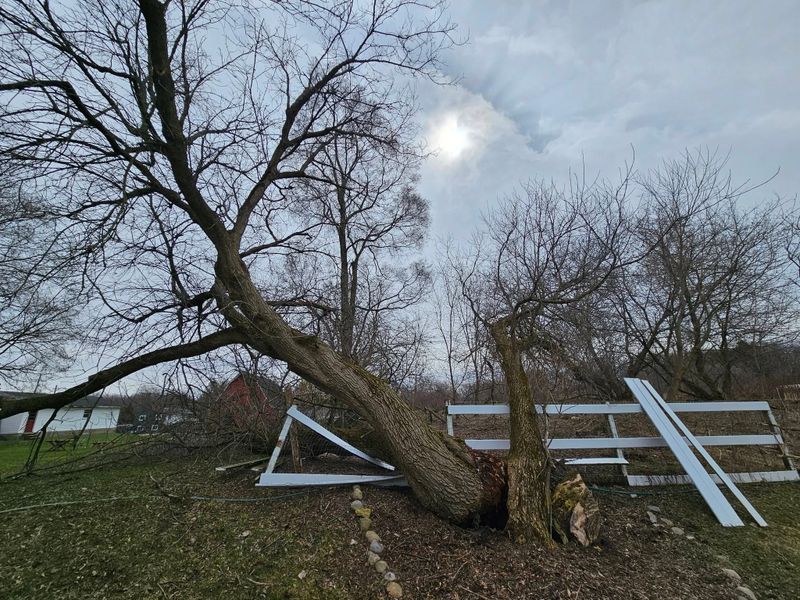Storm Damage Mitigation