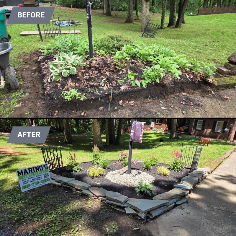 Lawn Care and Maintenance