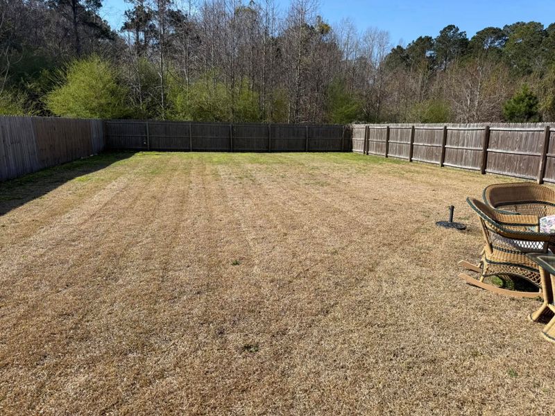 Lawn Maintenance