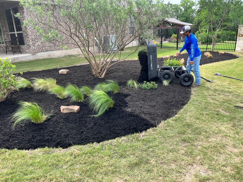 Mulch Installation
