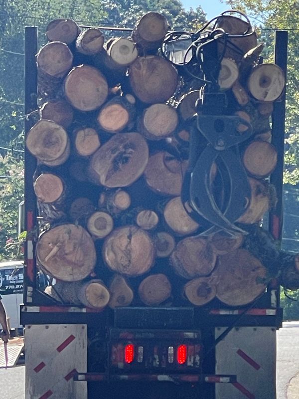 Stump Removal