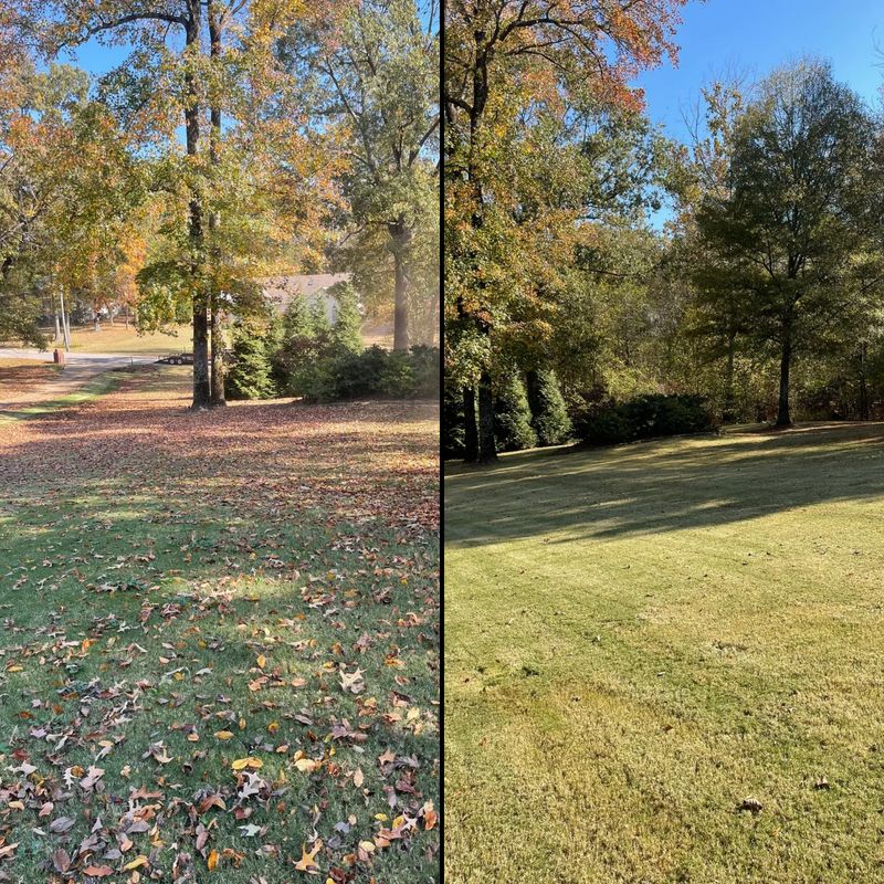 Mowing
