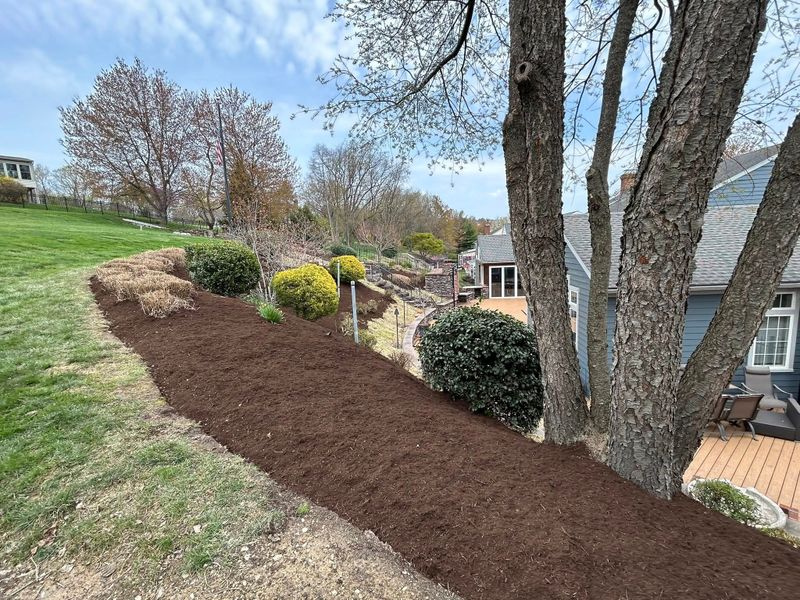Mulch Installation