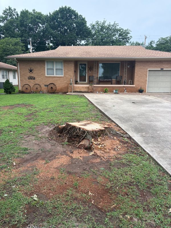 Stump Removal