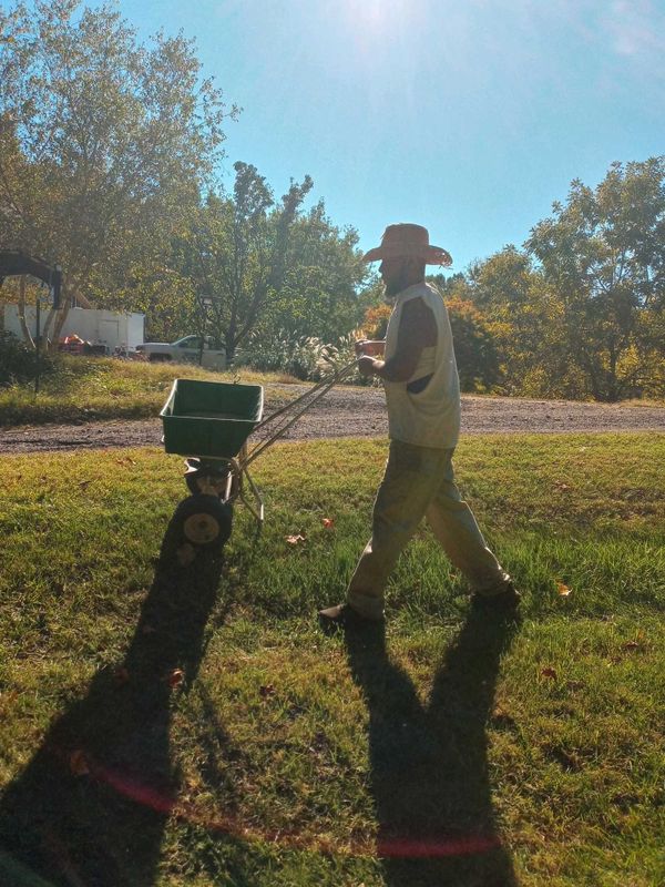 Aeration and Overseeding