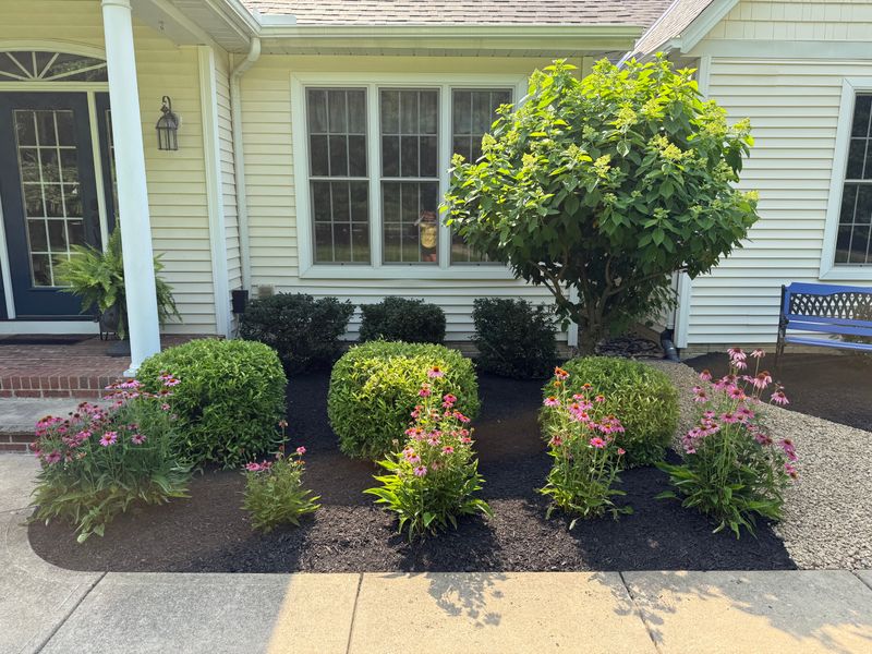 Shrub Trimming