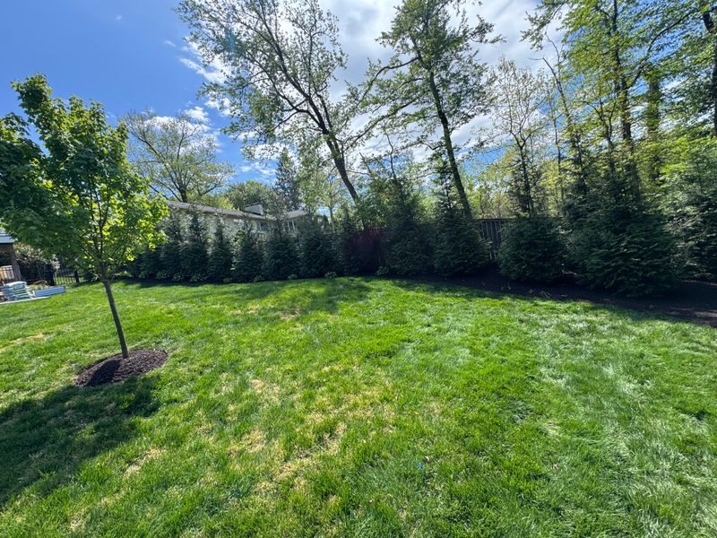 Lawn Care & Maintenance