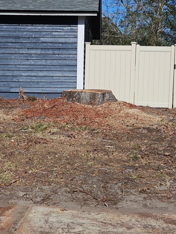 Stump Grinding