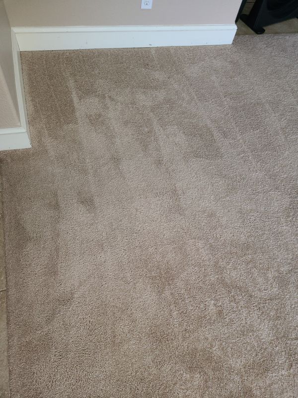 Carpet Cleaning