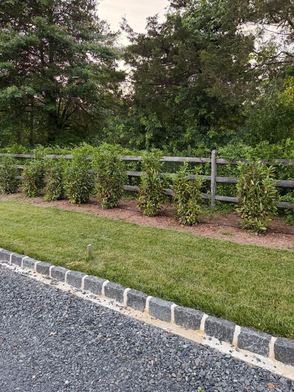 Tree & Shrub Care