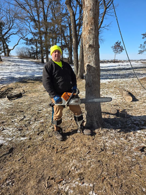 Tree Trimming