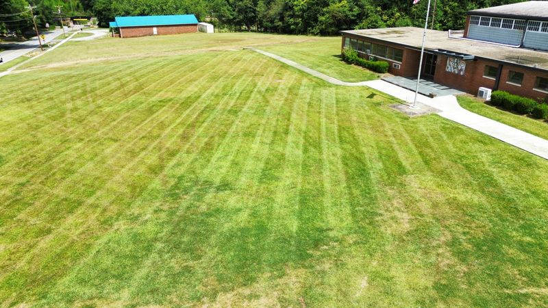 Lawn Care