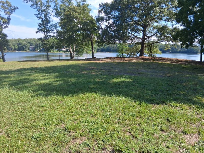 River Bank Clearing  gallery