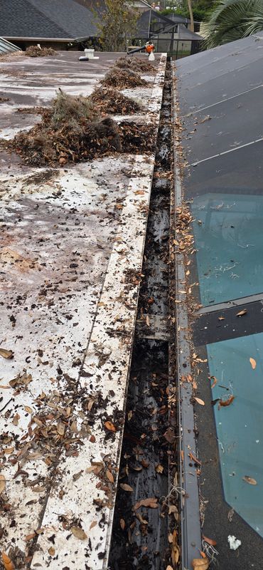 Gutter Cleaning