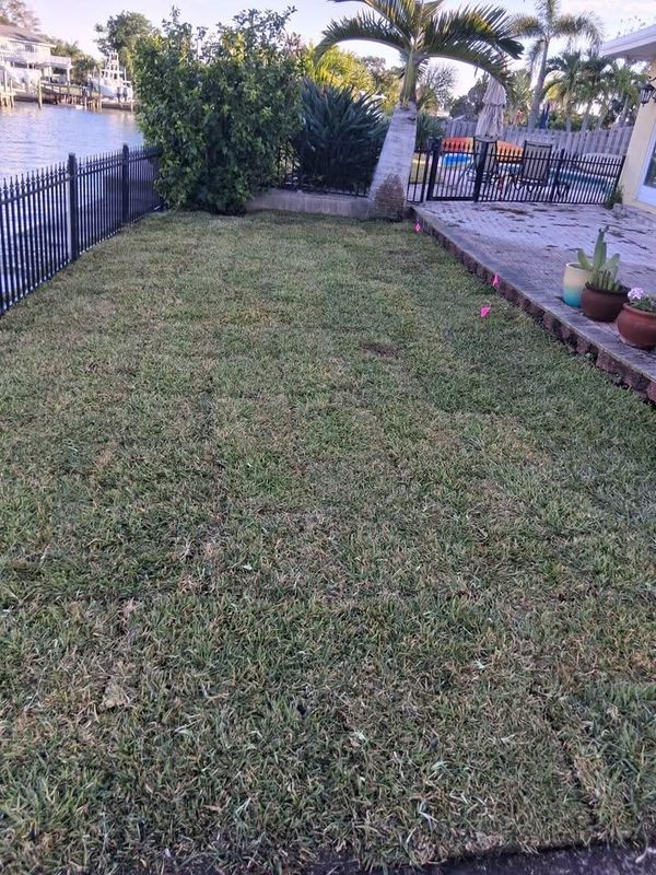 Sod Installation