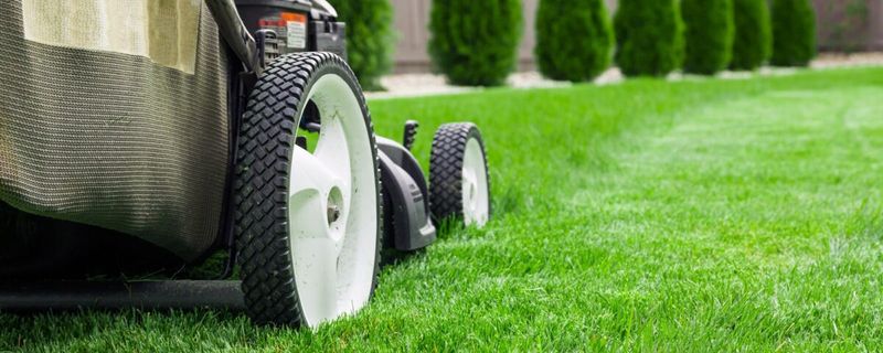 Lawn Maintenance