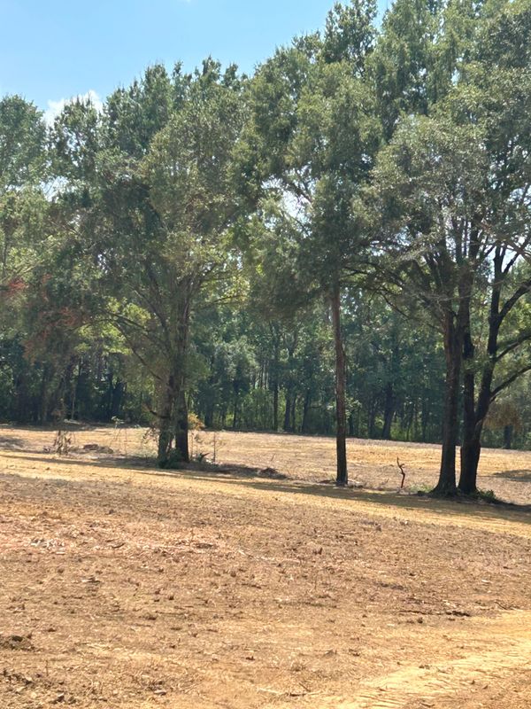 Land Clearing