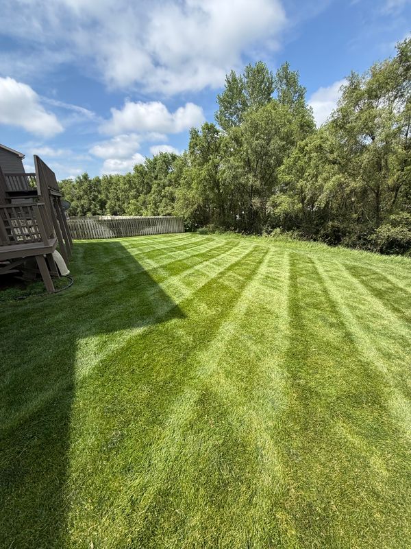 Lawn Maintenance