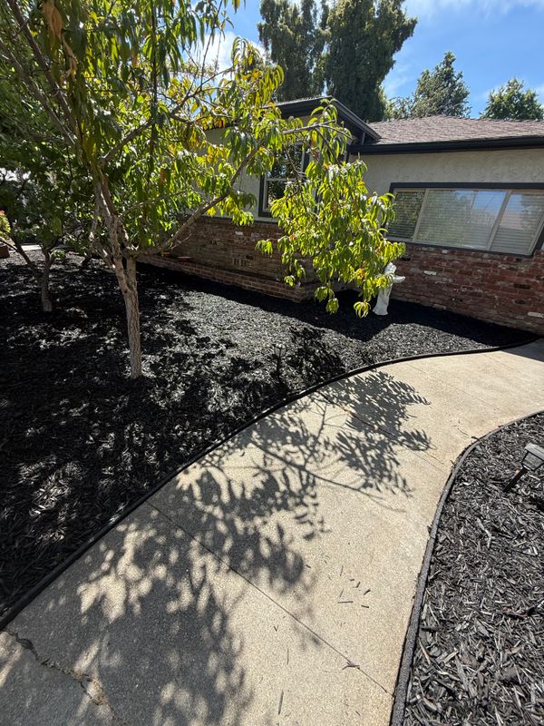 Landscaping