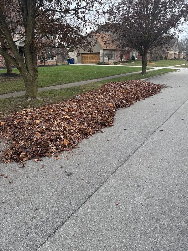 Fall clean up