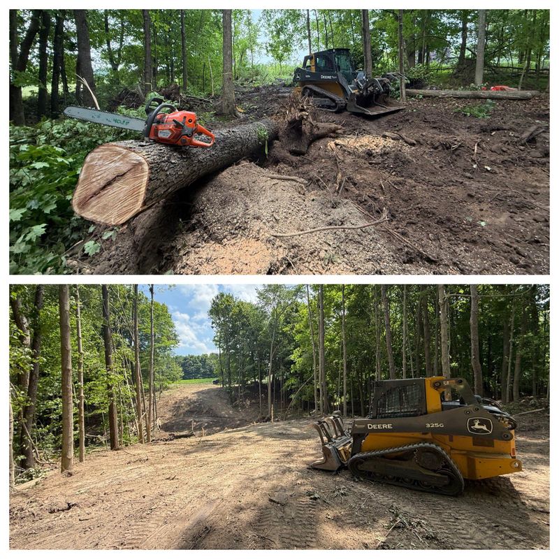 Land Clearing & Demolition