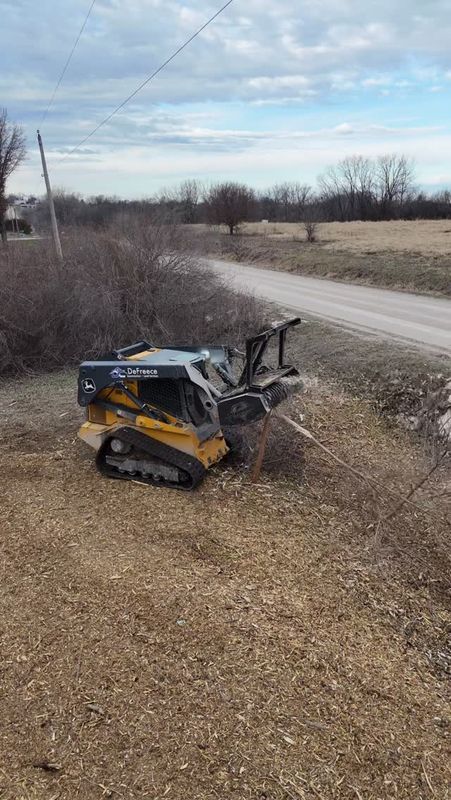 Forestry Mulching