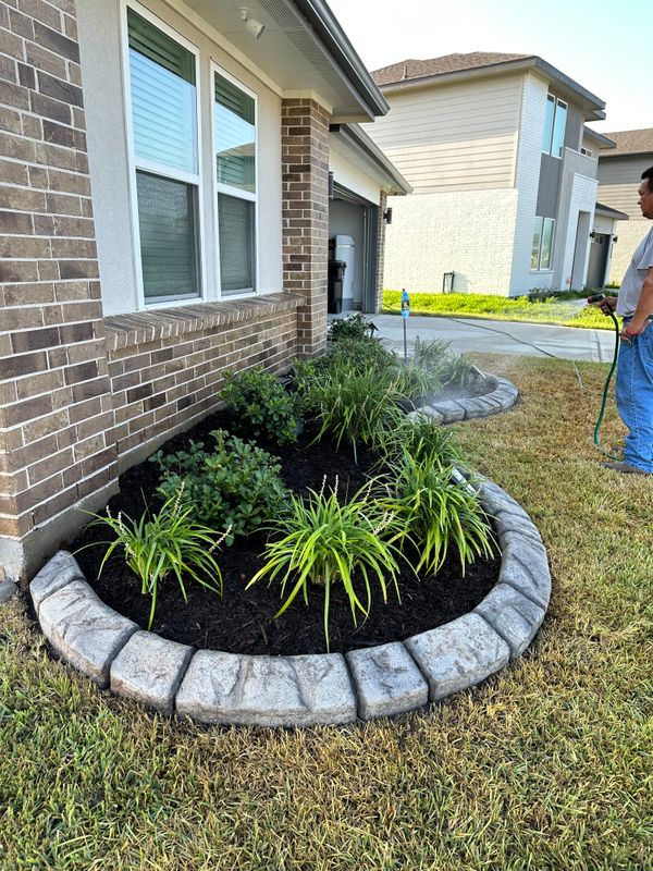 Landscape Border Systems