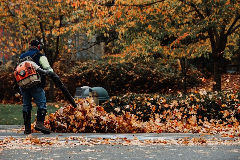 Fall Clean Ups