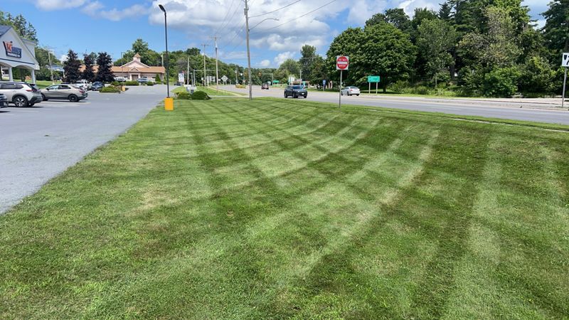 Mowing