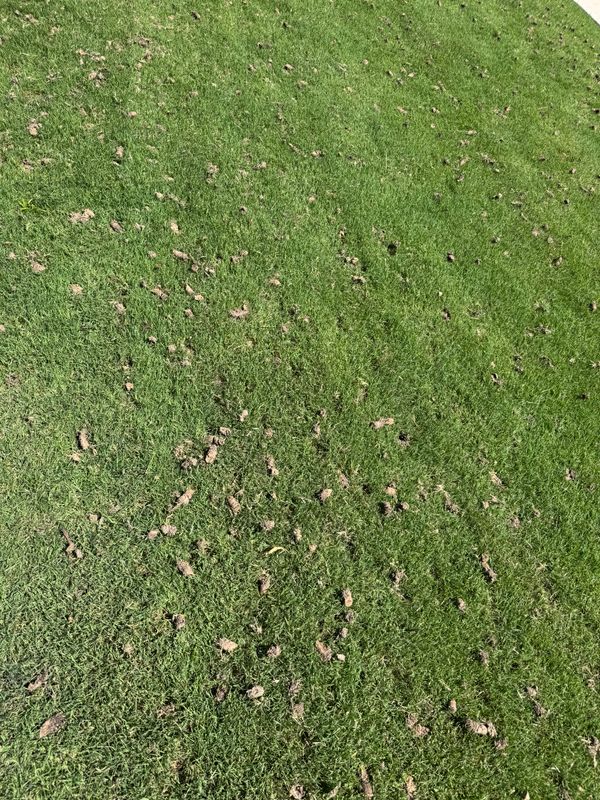 Aeration Gallery
