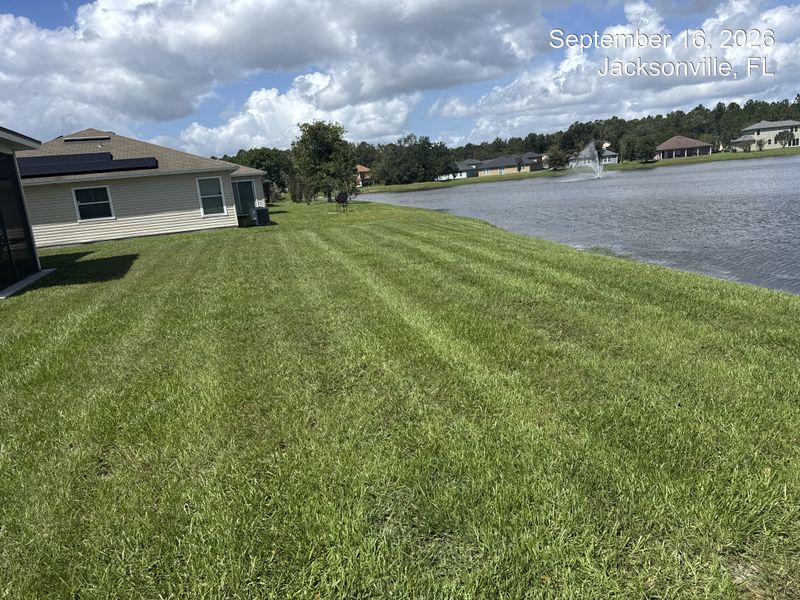 Lawn Care