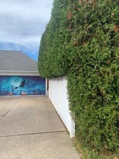 Shrub Trimming