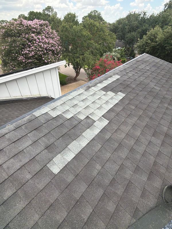 Shingle Roof Replacement