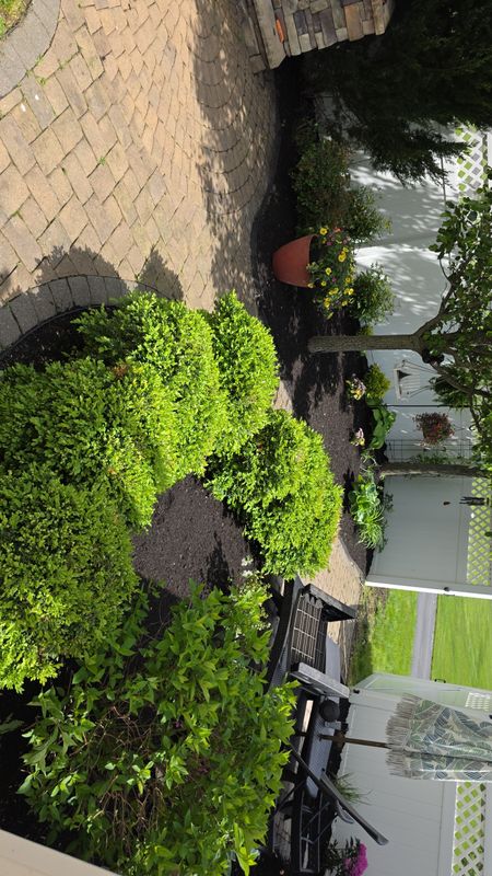 Garden Design and Installation