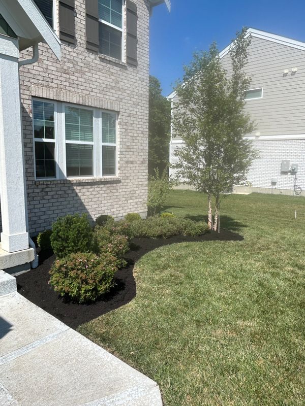 Mulching and Spring Cleanups