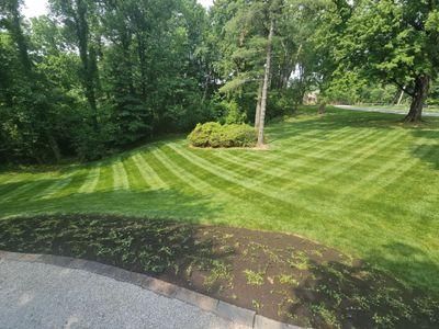 Lawn Maintenance Service